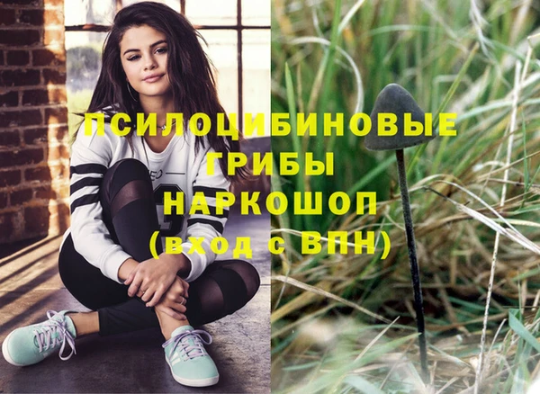 стаф Абинск