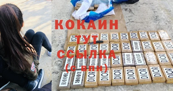 амф Няндома