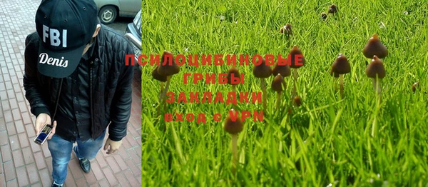 стаф Абинск